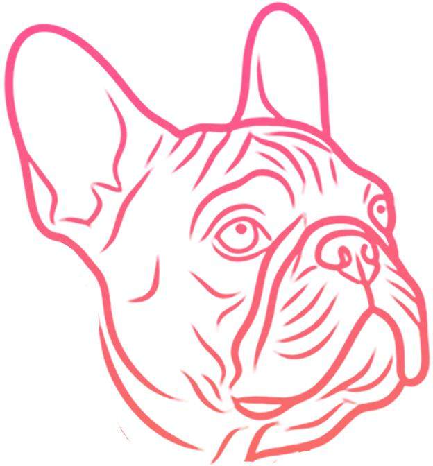 Koszulka Buldog Francuski