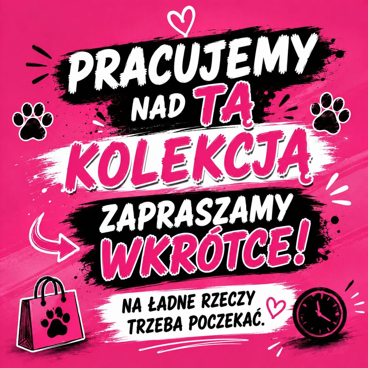 Torba Shopperka Dalmatyńczyk