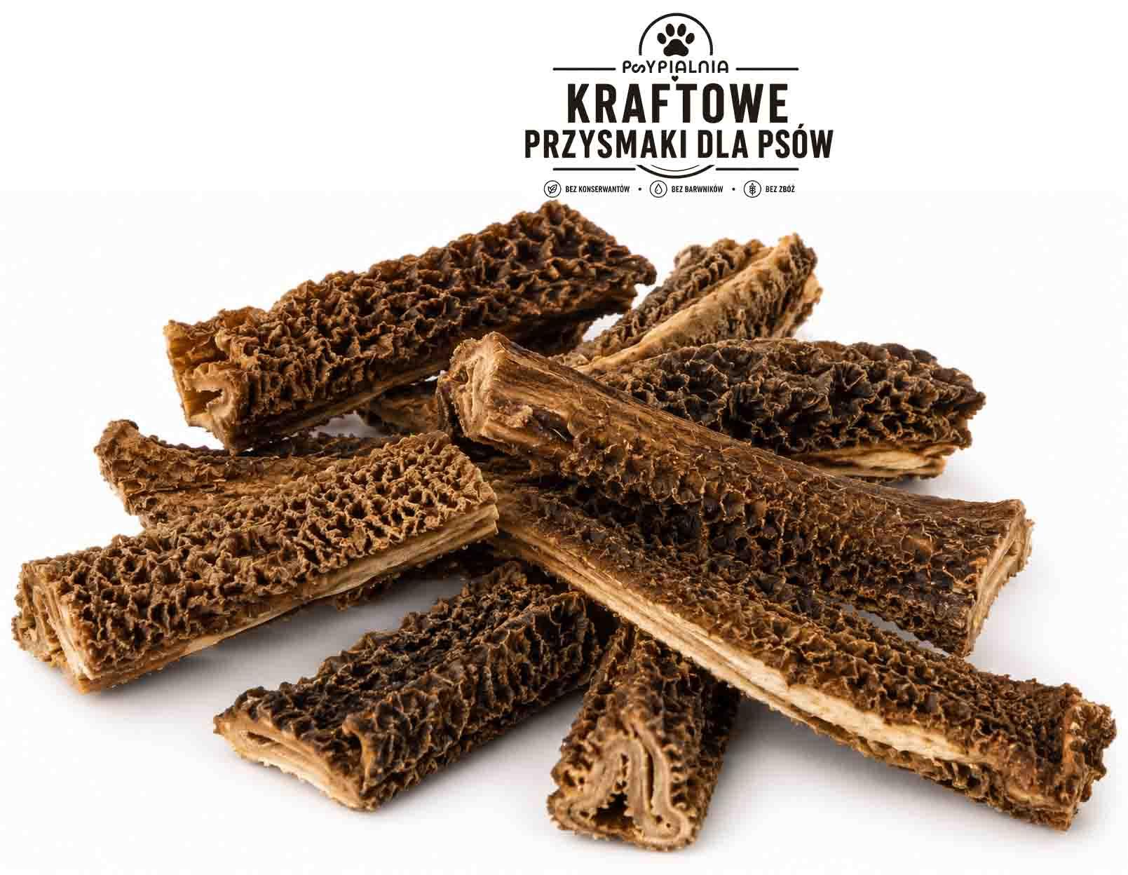 ŻWACZ WOŁOWY